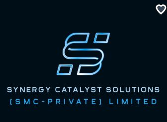 about-us synergy catalyst solutions image